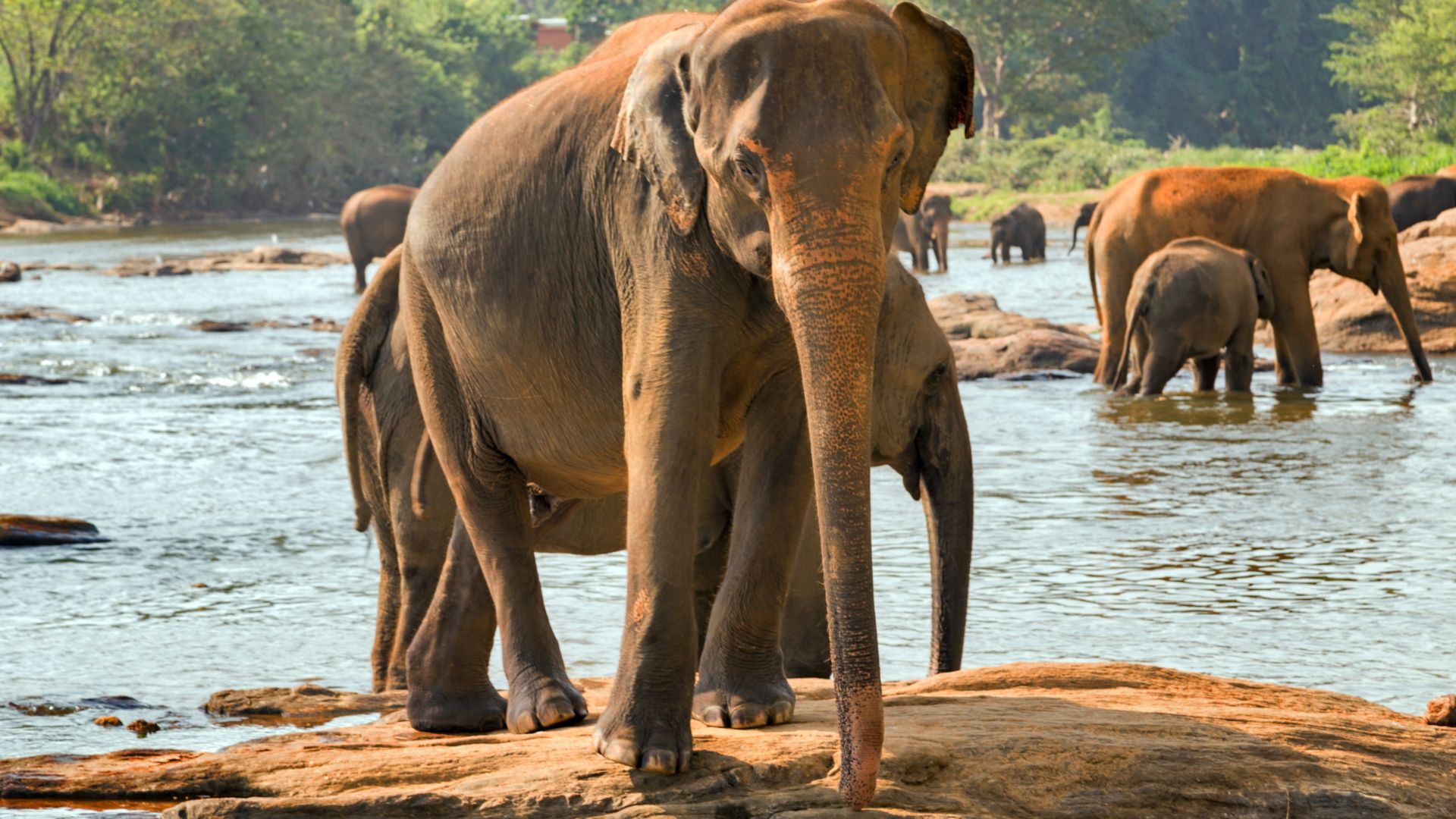 Sri Lanka: El viaje total - 3