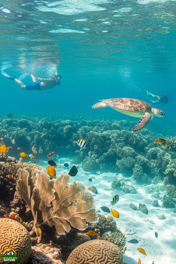 BALI: Aventura, deporte y comunidad - 2